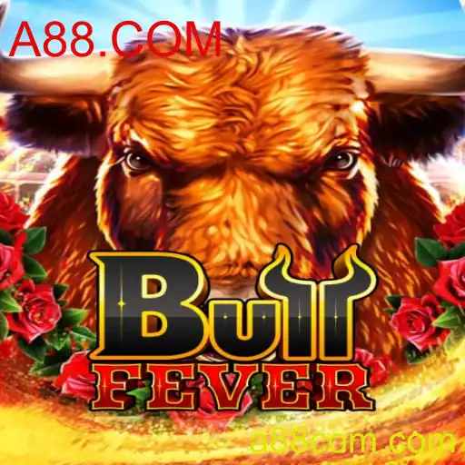 Descubra a Emoção e as Regras do Jogo BullFever